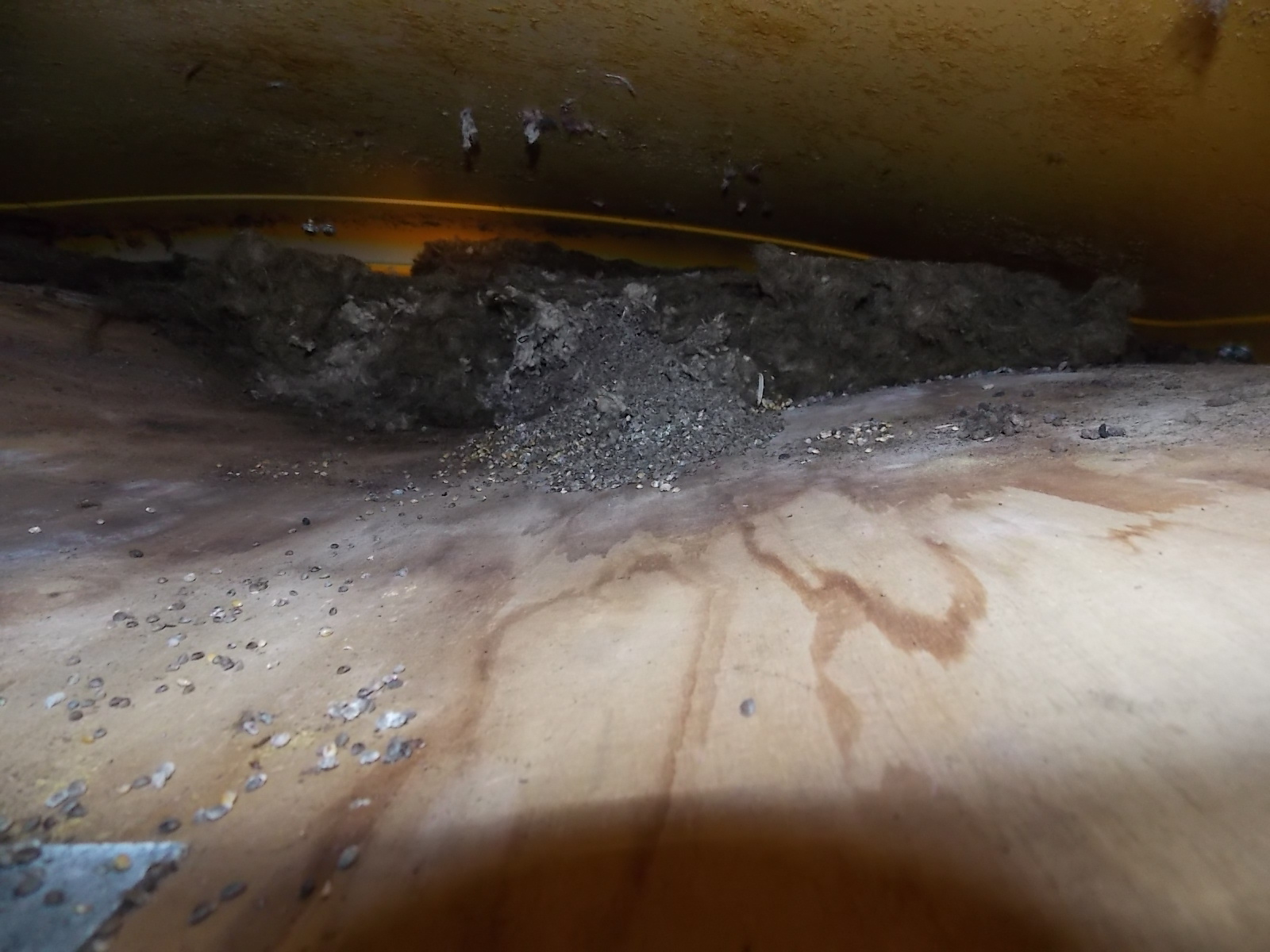 1976 VW Camper Restoration 